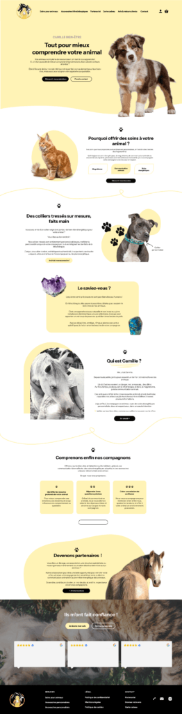 refonte site e-commerce