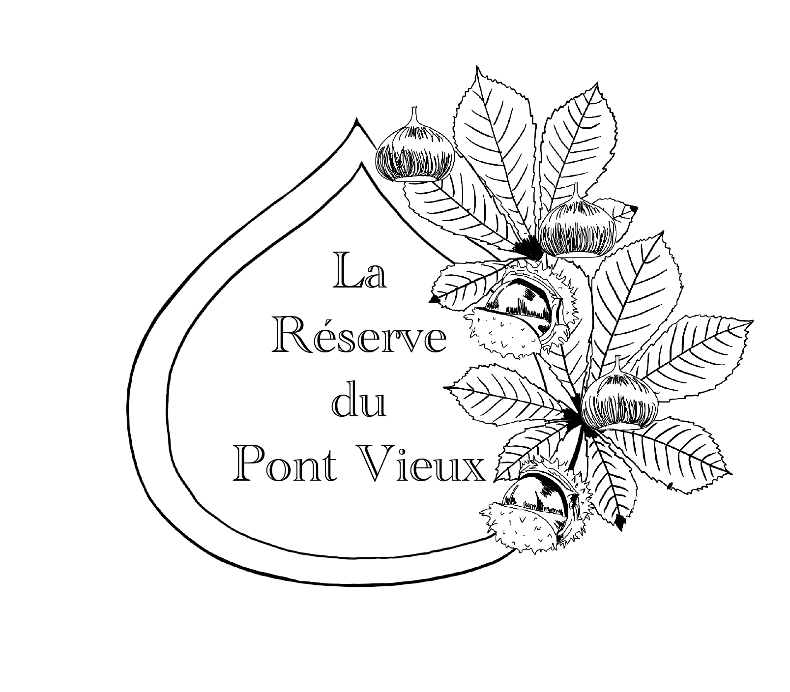 logo LRDPV n&b